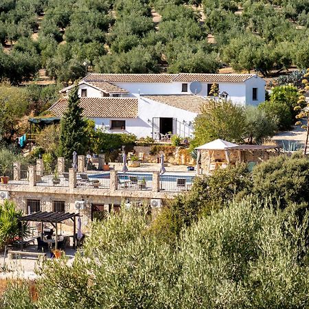Hacienda La Buena Vida B&B En Appartementen Casita La Bruja Algarinejo Δωμάτιο φωτογραφία