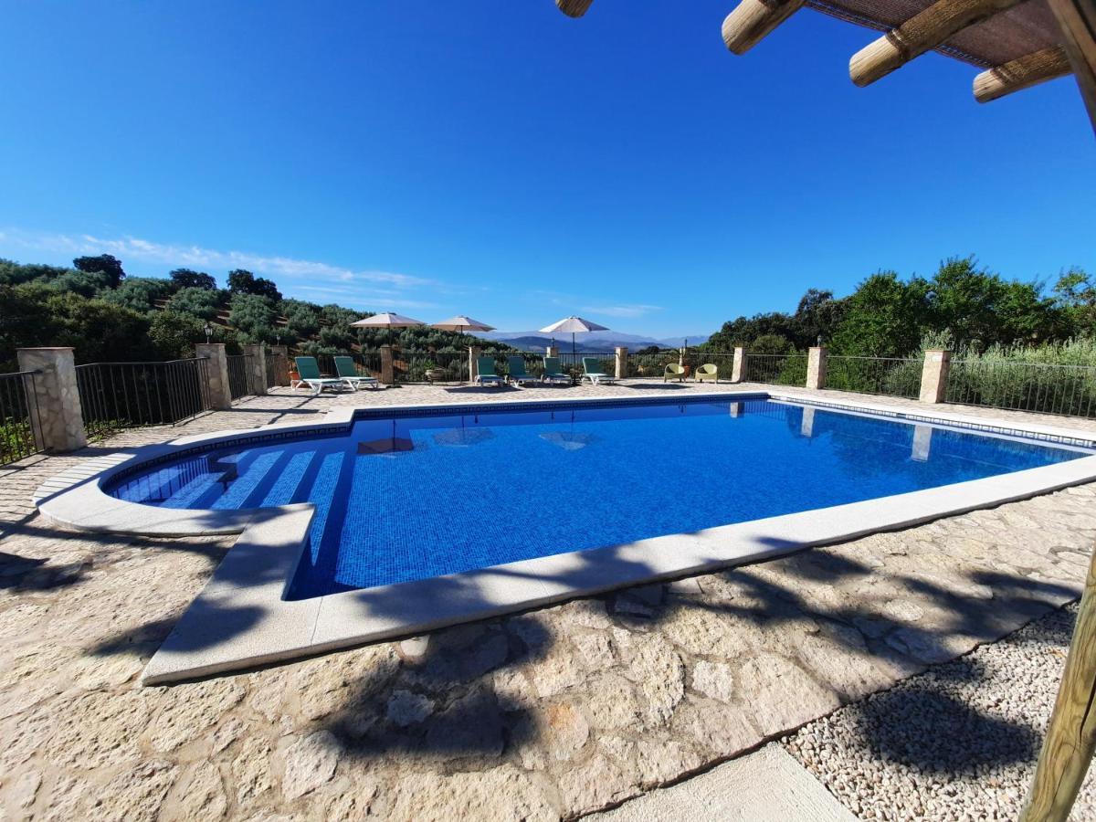Hacienda La Buena Vida B&B En Appartementen Casita La Bruja Algarinejo Εξωτερικό φωτογραφία