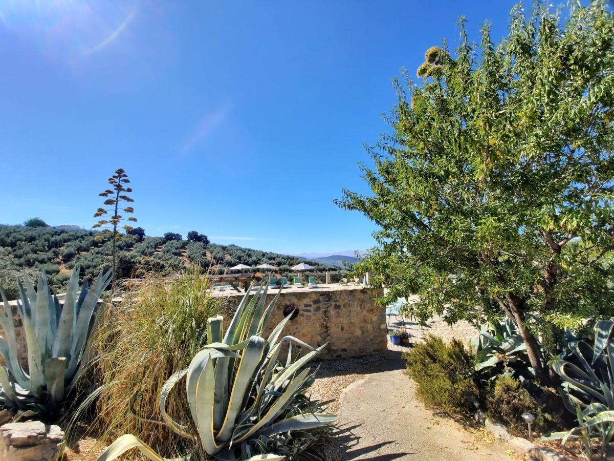 Hacienda La Buena Vida B&B En Appartementen Casita La Bruja Algarinejo Εξωτερικό φωτογραφία