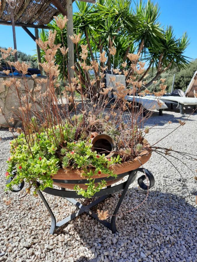 Hacienda La Buena Vida B&B En Appartementen Casita La Bruja Algarinejo Εξωτερικό φωτογραφία