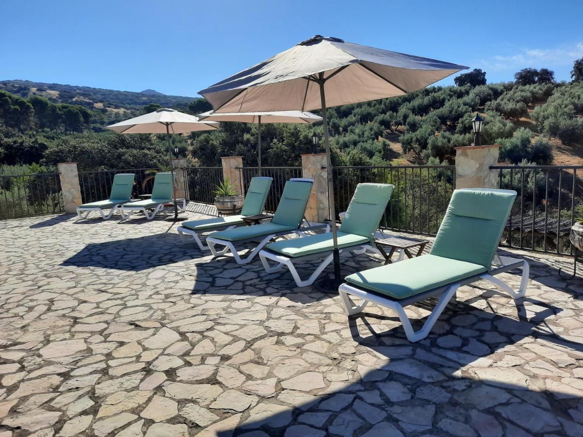 Hacienda La Buena Vida B&B En Appartementen Casita La Bruja Algarinejo Εξωτερικό φωτογραφία