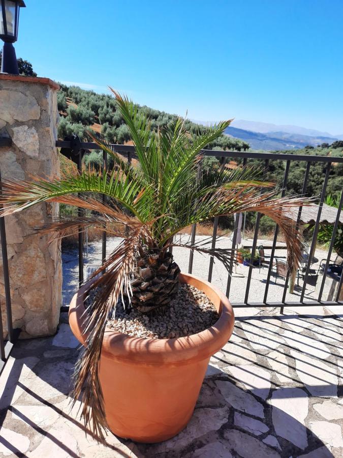Hacienda La Buena Vida B&B En Appartementen Casita La Bruja Algarinejo Εξωτερικό φωτογραφία