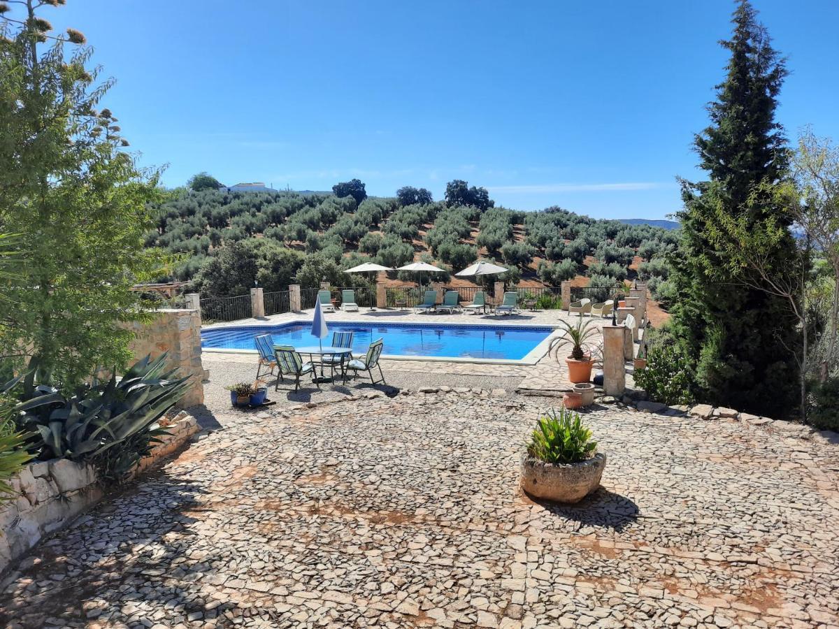 Hacienda La Buena Vida B&B En Appartementen Casita La Bruja Algarinejo Εξωτερικό φωτογραφία