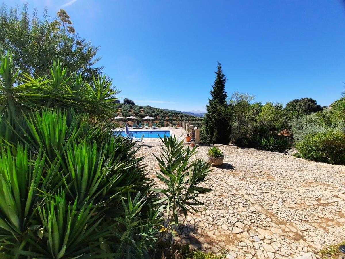 Hacienda La Buena Vida B&B En Appartementen Casita La Bruja Algarinejo Εξωτερικό φωτογραφία