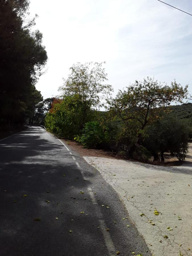 Hacienda La Buena Vida B&B En Appartementen Casita La Bruja Algarinejo Εξωτερικό φωτογραφία