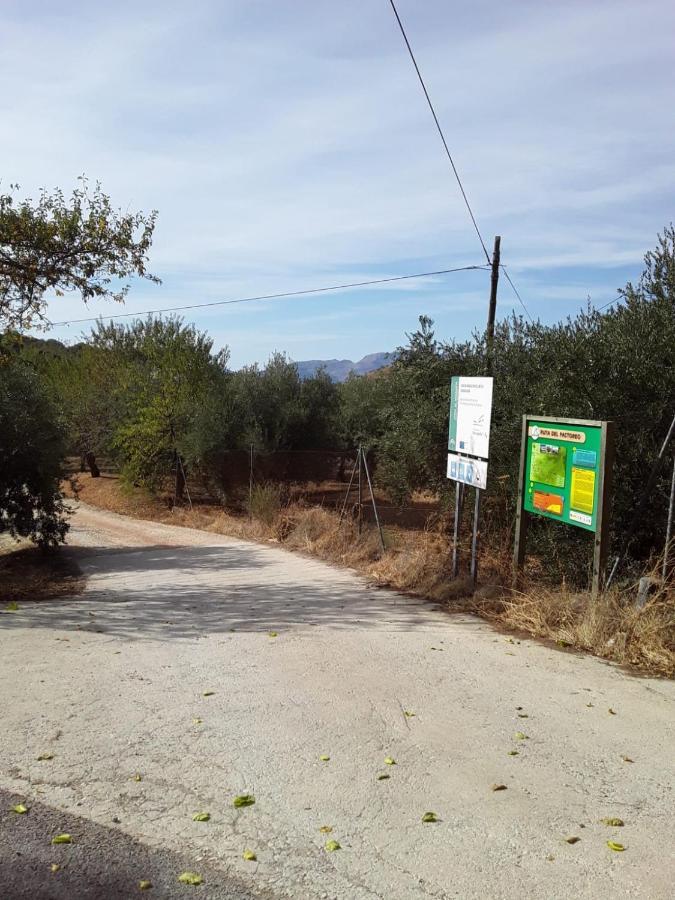 Hacienda La Buena Vida B&B En Appartementen Casita La Bruja Algarinejo Εξωτερικό φωτογραφία