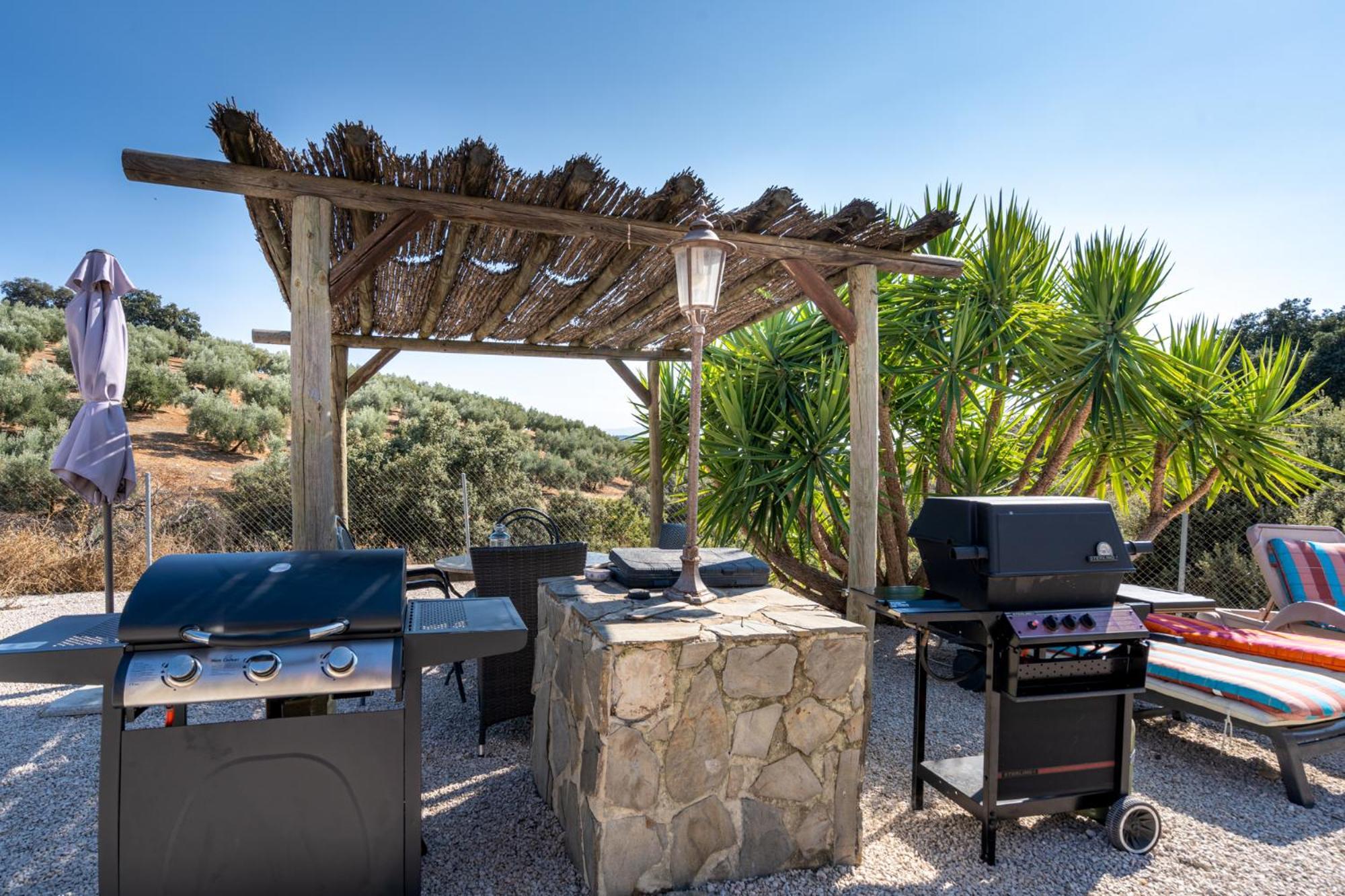 Hacienda La Buena Vida B&B En Appartementen Casita La Bruja Algarinejo Δωμάτιο φωτογραφία